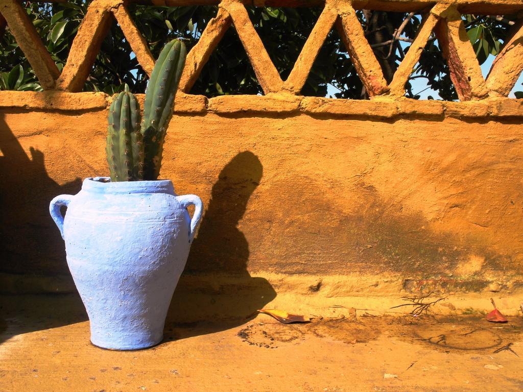 Patio De La Luna Asilah Exteriér fotografie